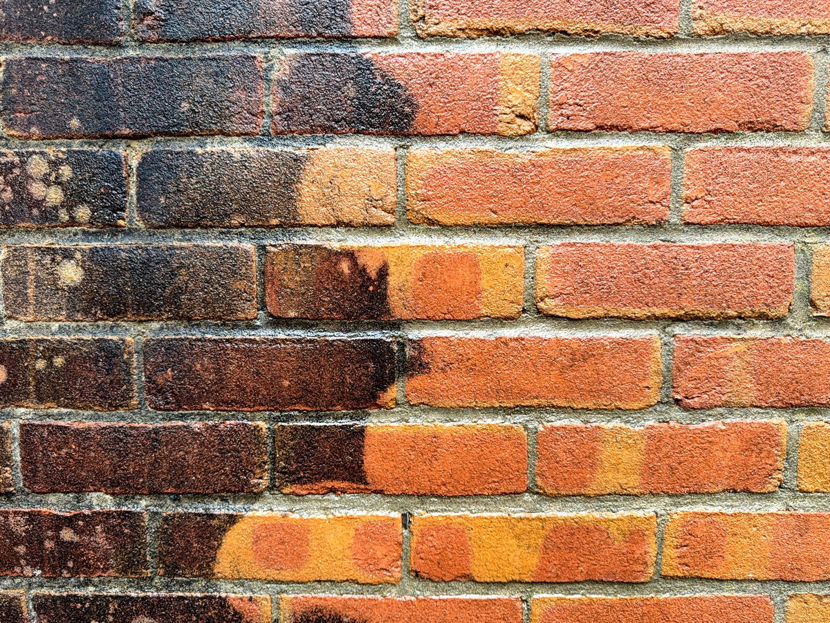 Assessing brickwork on a garden wall before treatment